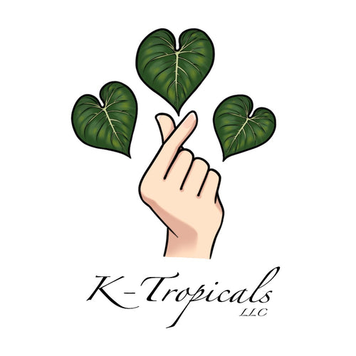 K-Tropicals LLC