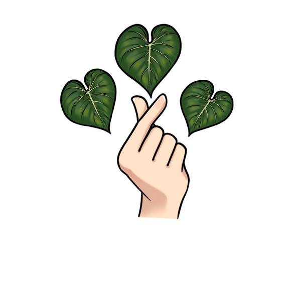 K-Tropicals LLC